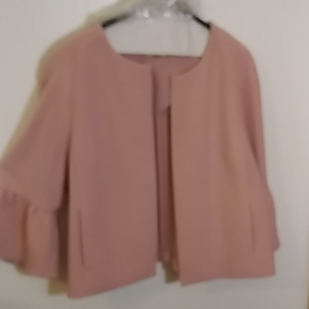 Ann Taylor Soft Pink Blazer